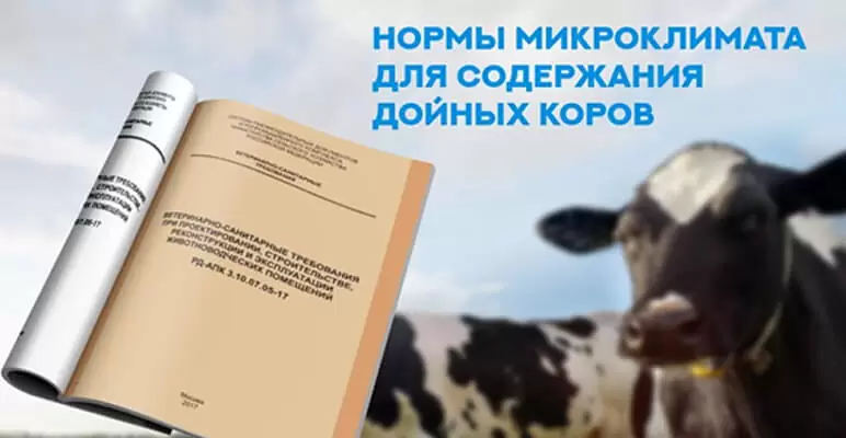Нормы микроклимата для содержания дойных коров
